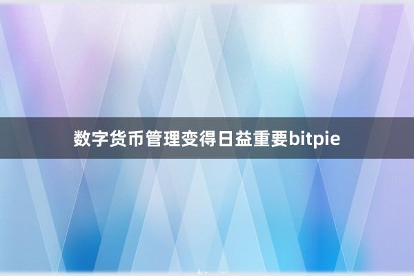   数字货币管理变得日益重要bitpie