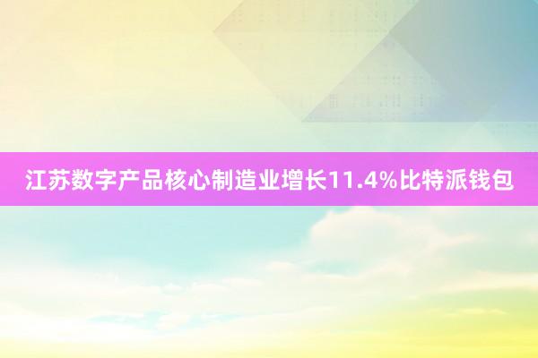   江苏数字产品核心制造业增长11.4%比特派钱包