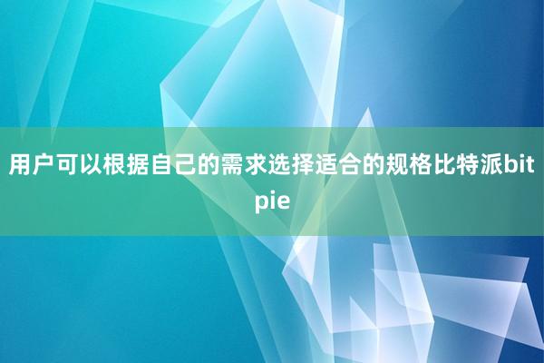   用户可以根据自己的需求选择适合的规格比特派bitpie