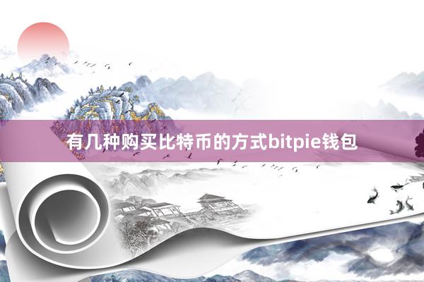   有几种购买比特币的方式bitpie钱包