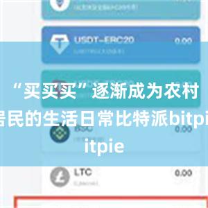 “买买买”逐渐成为农村居民的生活日常比特派bitpie