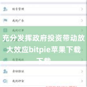   充分发挥政府投资带动放大效应bitpie苹果下载