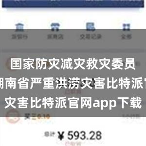   国家防灾减灾救灾委员会针对湖南省严重洪涝灾害比特派官网app下载