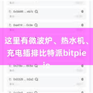   这里有微波炉、热水机、充电插排比特派bitpie