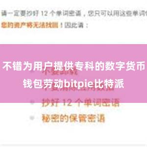 不错为用户提供专科的数字货币钱包劳动bitpie比特派