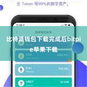 比特派钱包下载完成后bitpie苹果下载