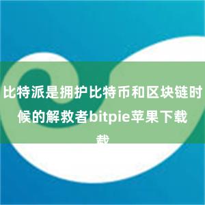 比特派是拥护比特币和区块链时候的解救者bitpie苹果下载